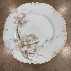 Haviland & Company Limoges France Etta 9 1/2 inch Dinner plate porcelain